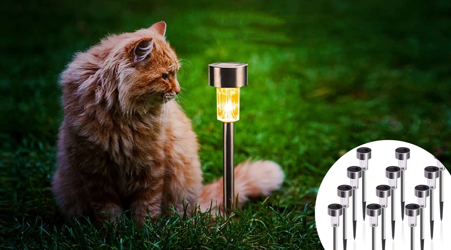 Verilux 12 Pack Waterproof Solar Garden Lights Outdoor with Double IP65