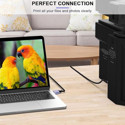 Verilux® 2 in 1 USB Printer Cable, 6.6FT/2M Dual USB A Male to USB B 2.0 Scanner Cable, 480 Mbps Data Transfer Computers for Gold Plated Printer Cable for HP, Canon, Dell, Epson, Lexmark