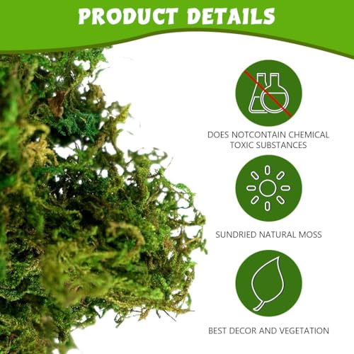 STHIRA® Musgo Artificial, 3, 5 oz de Musgo Verde Falso, Decoración Musgo Artificial Premium, Manualidades de Bricolaje, Musgo Verde Falso para Centros de Mesa, Decoración de Jardín, Hogar y Cocina