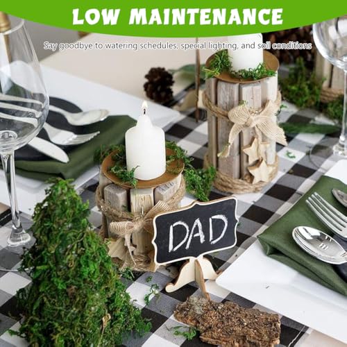 STHIRA® Musgo Artificial, 3, 5 oz de Musgo Verde Falso, Decoración Musgo Artificial Premium, Manualidades de Bricolaje, Musgo Verde Falso para Centros de Mesa, Decoración de Jardín, Hogar y Cocina