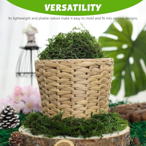 STHIRA® Musgo Artificial, 3, 5 oz de Musgo Verde Falso, Decoración Musgo Artificial Premium, Manualidades de Bricolaje, Musgo Verde Falso para Centros de Mesa, Decoración de Jardín, Hogar y Cocina