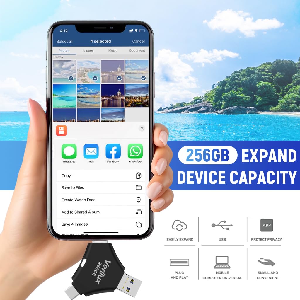 Verilux Pendrive 256GB for iPhone and Android featuring 4 in 1 USB Type C Design | Black