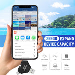 Verilux Pendrive 256GB for iPhone and Android featuring 4 in 1 USB Type C Design | Black