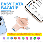 Verilux Pendrive 64GB with 4 in 1 Connector for iPhone Android and PC | Pink Metal Design