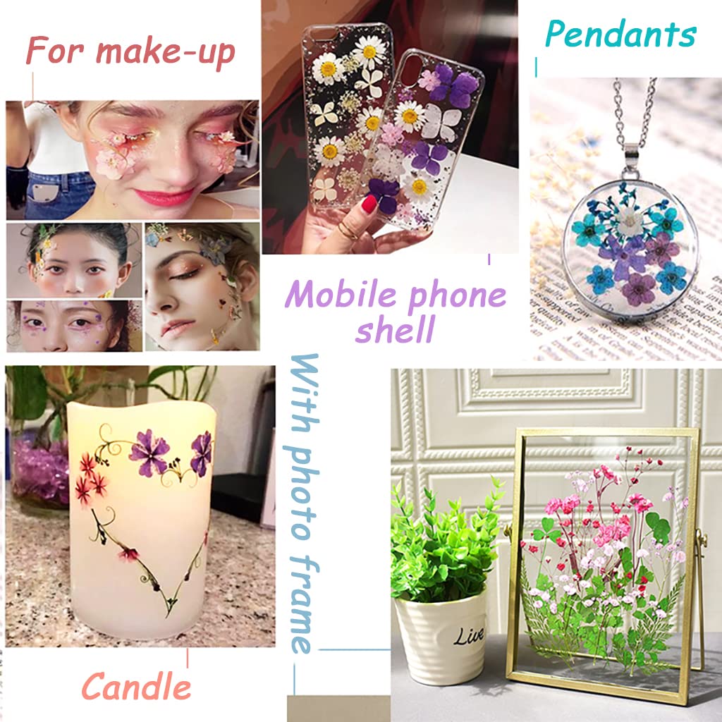 ZORBES® Lavender Blue Resin Art Natural Dried Ornament Scented Candle Decor Flower Set for DIY, Photo Frame, Room Decoration