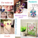 ZORBES® Lavender Blue Resin Art Natural Dried Ornament Scented Candle Decor Flower Set for DIY, Photo Frame, Room Decoration