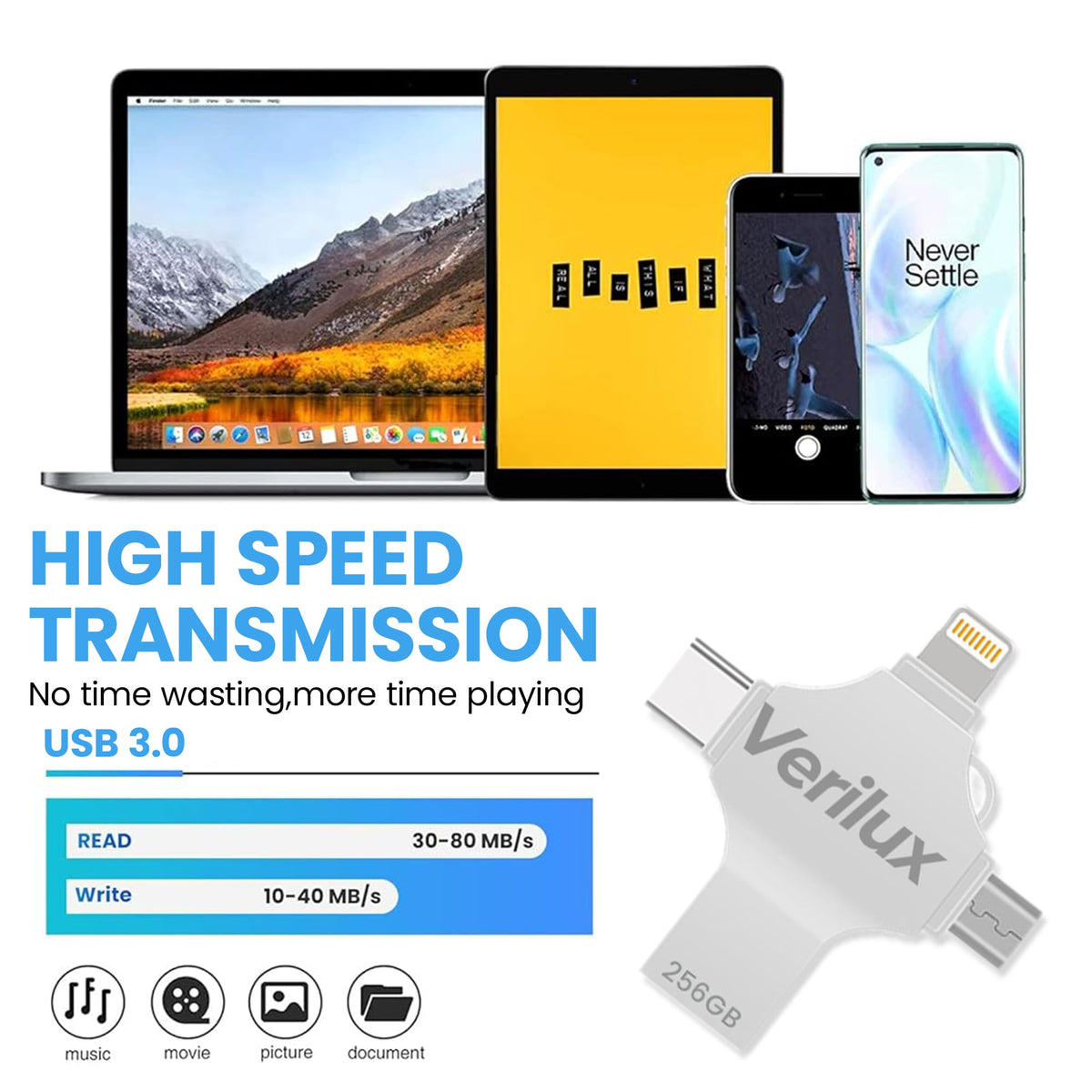 Verilux® 4 in 1 Flash Drive OTG Adapter 256GB Large Capacity Flash Drive with Lightning, Micro, USB, TYPE-C, Mini Flash Drive with Keychain Compatible with iPhone, Android, Tablet, Pad, PC (Silver)