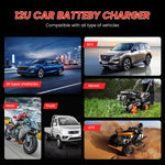 Verilux 2-in-1 6A 12V Battery Charger