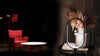 Verilux® Magnetic Lamp - verilux