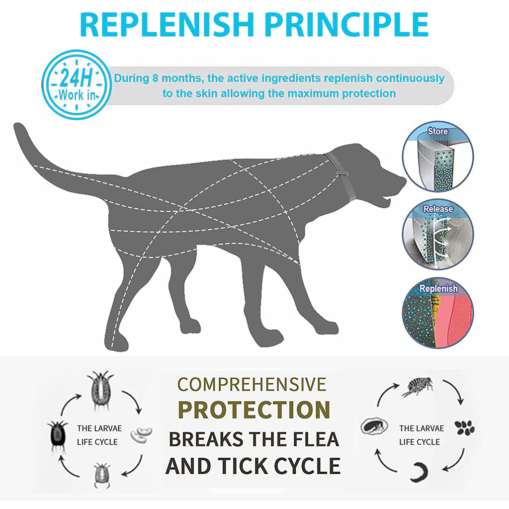 Qpets® Flea Collar for Samll Dog, Flea and Tick Collar for Samll Dogs, 8 Month Flea and Tick Effective Protection, Safe Flea and Tick Protection Collar for Small Dogs Adjustable 38cm Flea Collar