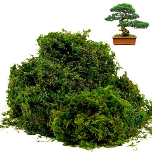 STHIRA® Musgo Artificial, 3, 5 oz de Musgo Verde Falso, Decoración Musgo Artificial Premium, Manualidades de Bricolaje, Musgo Verde Falso para Centros de Mesa, Decoración de Jardín, Hogar y Cocina