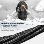 Verilux Type C Charging Cable 10ft 62W PD Fast Charge with Nylon Braid | 480Mbps Data Transfer