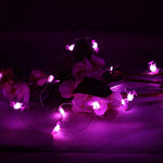 Verilux String Light for Christmas and Home Decoration with 20 LEDs 2m Copper Wire | Pink