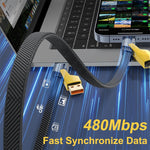 Verilux USB Type C Cable 4 In 1 3.3Ft with PD 65W Fast Charging & 480Mbps Data Transfer | Braided Nylon