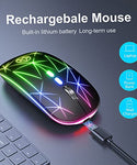 2.4GHz RGB LED Backlit Wireless Mute Mouse