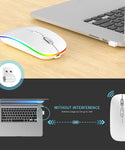 2.4GHz Wireless Mute Portable Optical Mouse (Sliver)